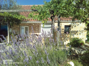 Apartmans Lavanda Island Hvar